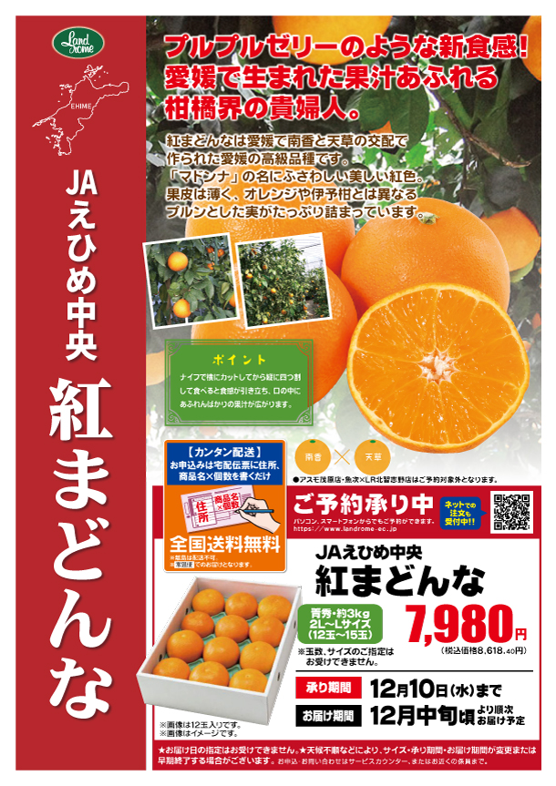 202511_紅まどんな_ネット用