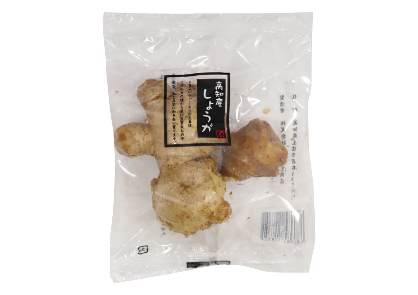 真面目しょうが