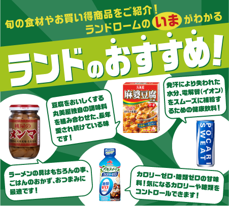 2606おすすめ